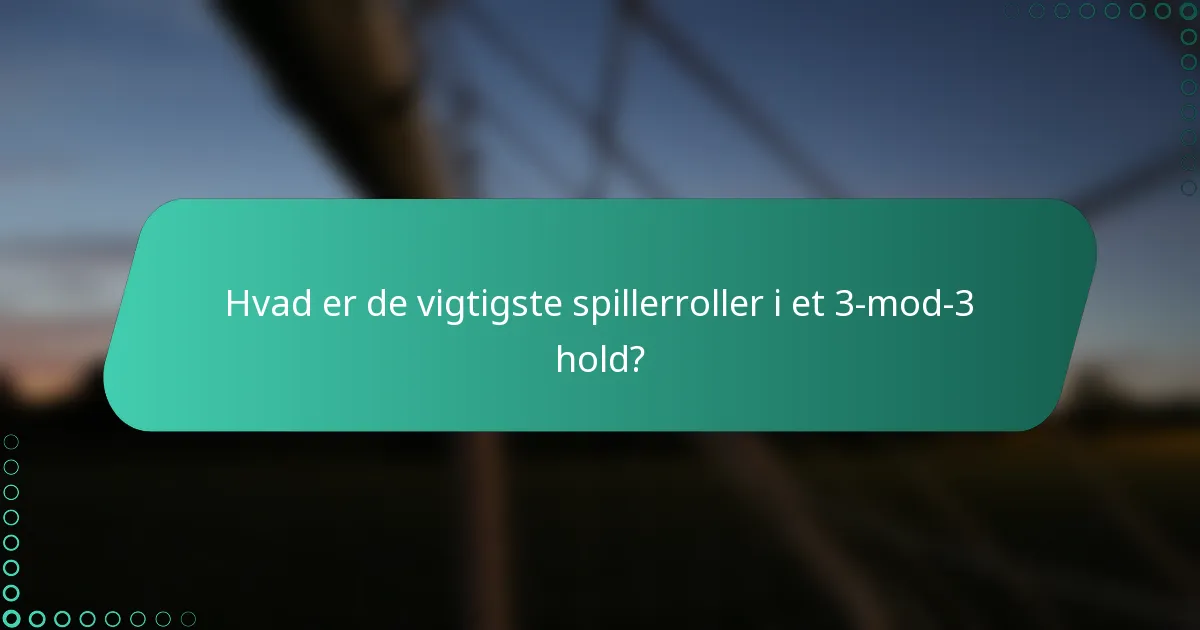 Hvad er de vigtigste spillerroller i et 3-mod-3 hold?